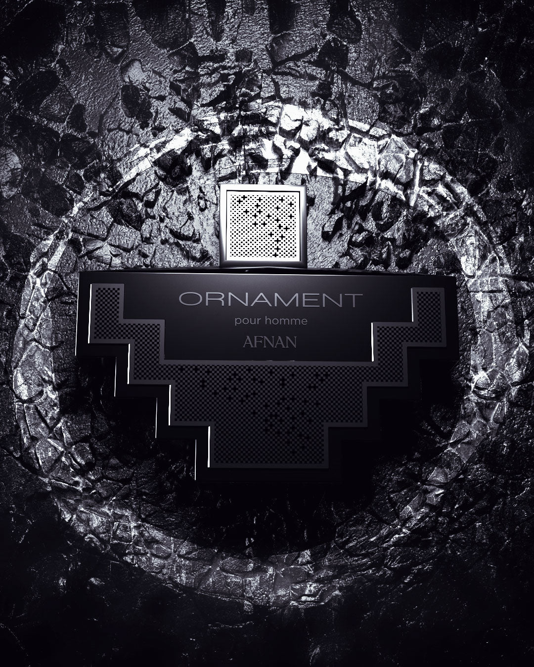 ORNAMENT POUR HOMME - Image 3